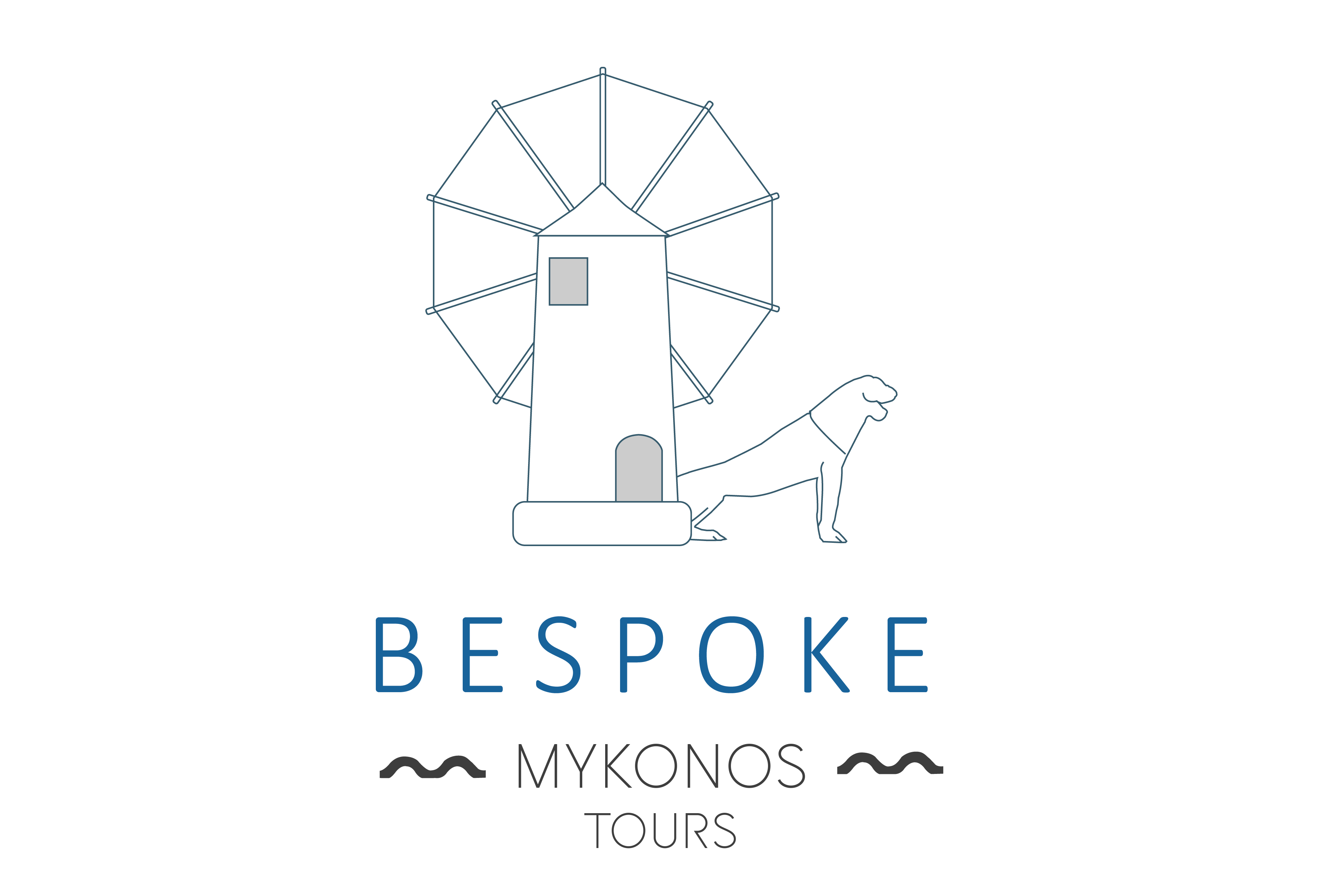 private tour mykonos